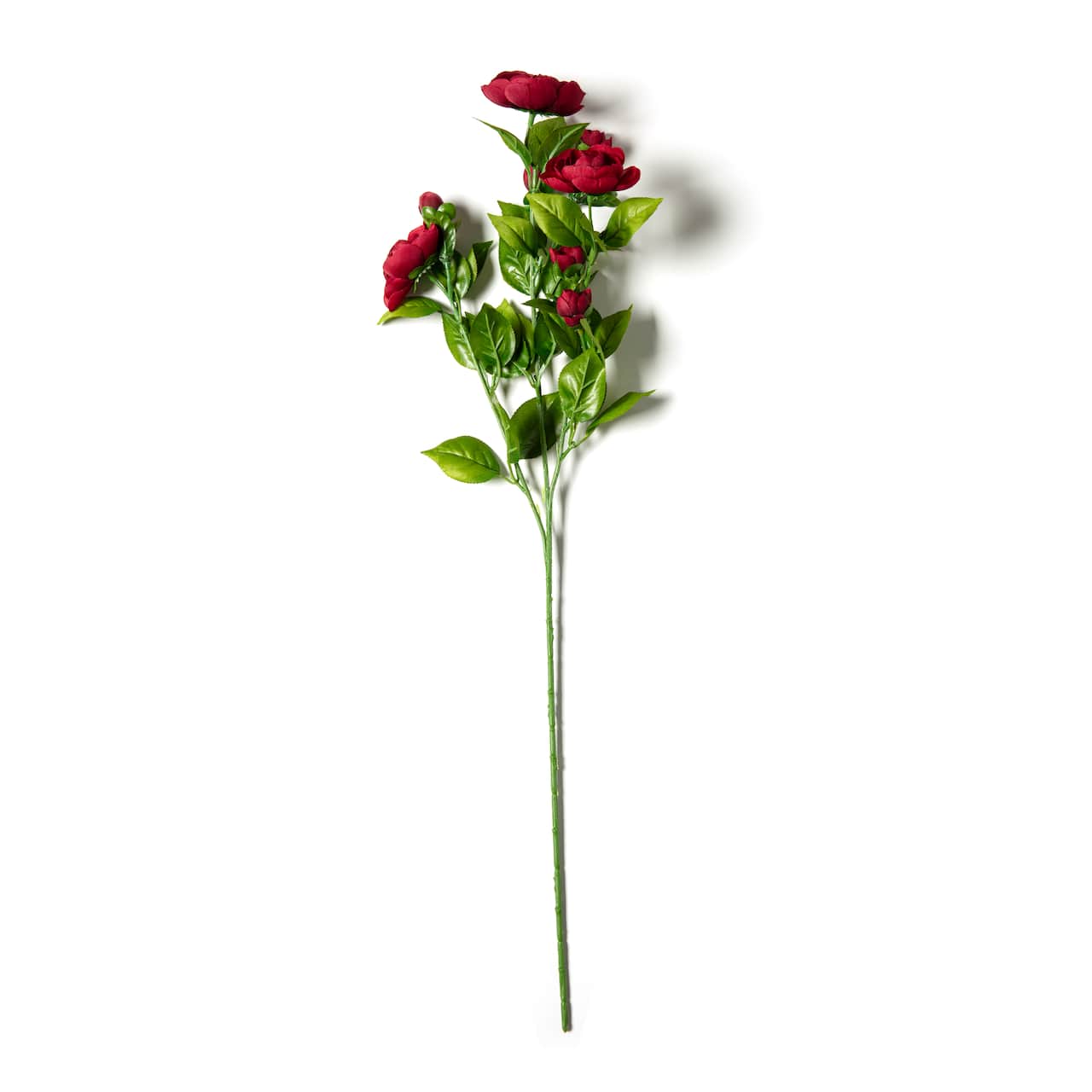 Burgundy Ranunculus Spray by Ashland®